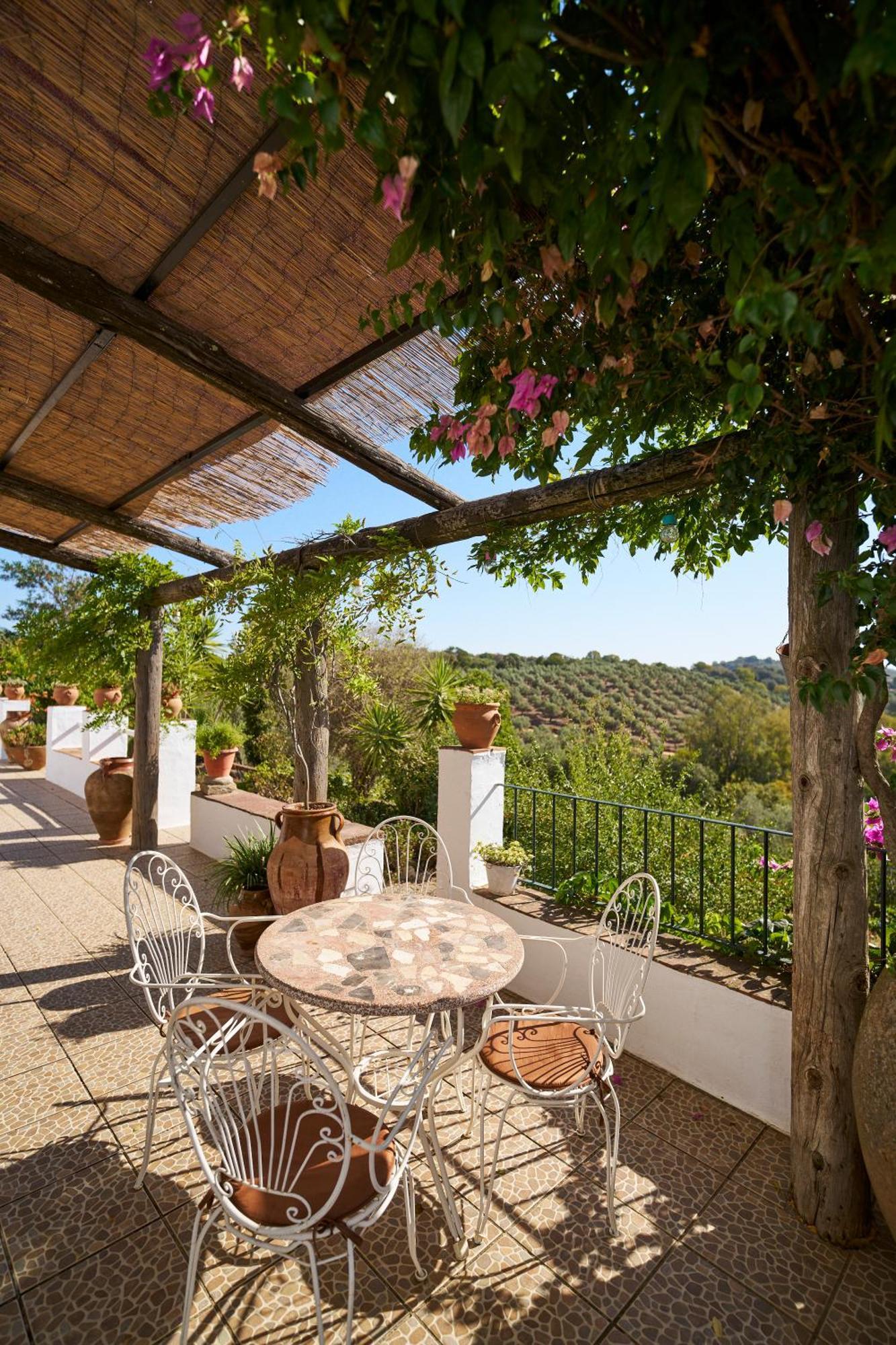Villa Botero Константина Номер фото
